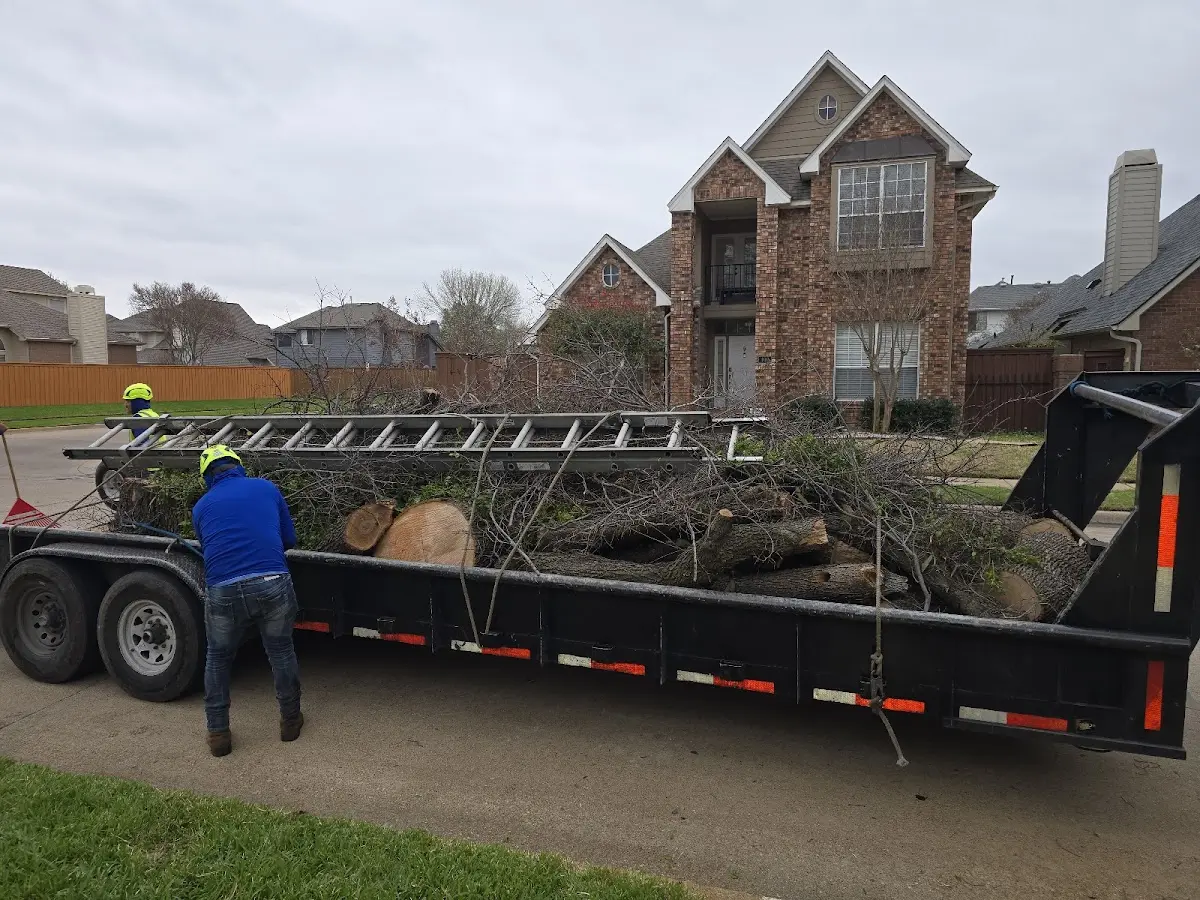 Expert Tree Removal with proper safety equipment in Chalk Hill